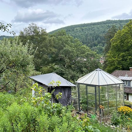 Wohn-Eitel Romantik Bad Wildbad Exteriér fotografie