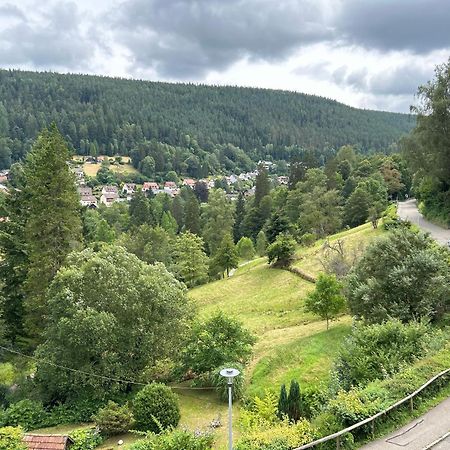 Wohn-Eitel Romantik Bad Wildbad Exteriér fotografie