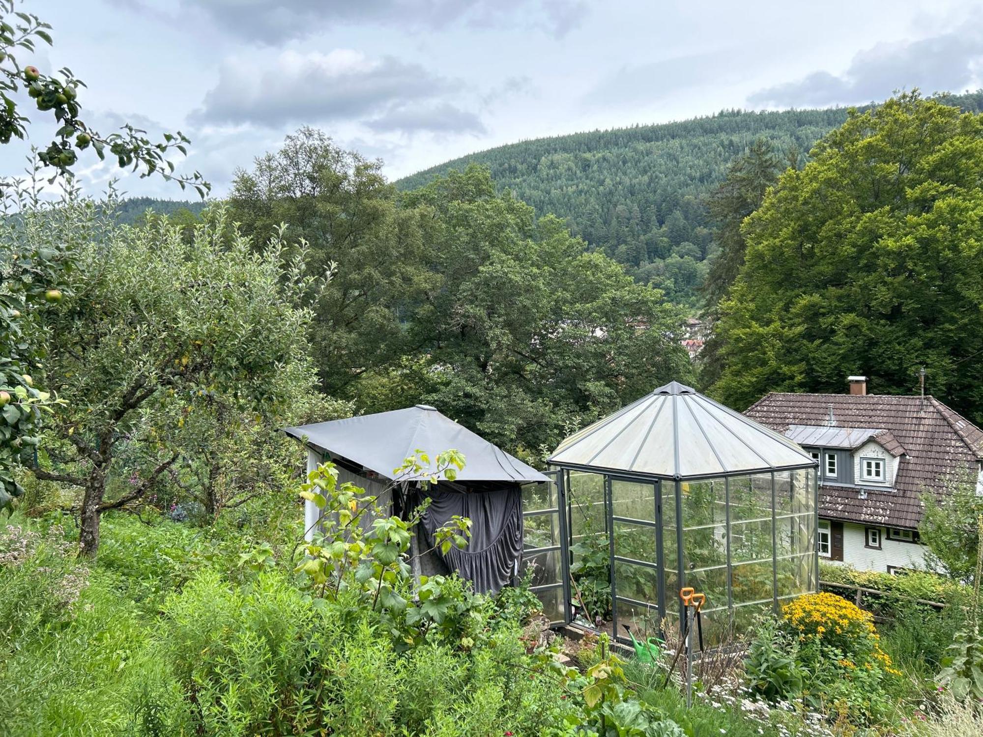 Wohn-Eitel Romantik Bad Wildbad Exteriér fotografie
